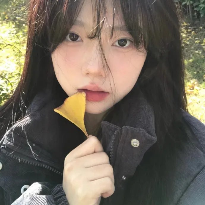 南少林